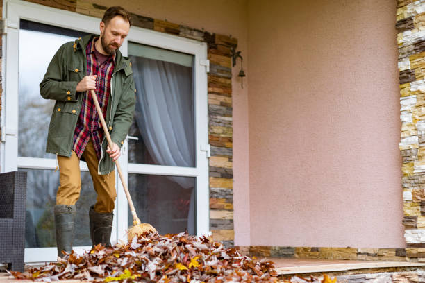 Best Yard Cleanup Services  in Wagon Wheel, AZ